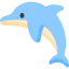 Dolphin 图标 64x64
