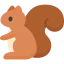 Squirrel 图标 64x64