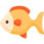 Fish 图标 64x64