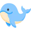 Whale 图标 64x64