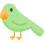 Parrot 图标 64x64