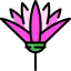 Lotus 图标 64x64