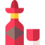 Tequila icon 64x64
