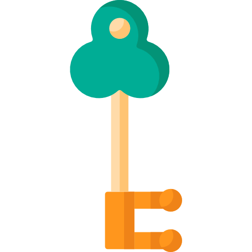 Key icon