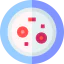 Petri dish アイコン 64x64