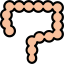 Intestines icon 64x64