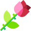 Rose icon 64x64