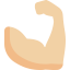 Muscle ícone 64x64