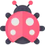 Ladybug icon 64x64