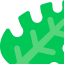 Leaf icon 64x64