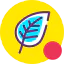 Leaf icon 64x64