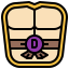 Donatello icon 64x64