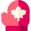 Mittens icon 64x64