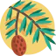 Pine icon 64x64