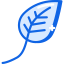 Leaf 图标 64x64