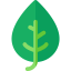 Leaf Ikona 64x64