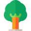 Tree Ikona 64x64