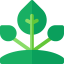 Sprout Ikona 64x64