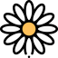 Daisy icon 64x64