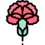 Carnation icon 64x64