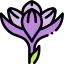 Crocus Ikona 64x64