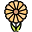 Calendula Ikona 64x64