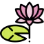 Water lily Ikona 64x64