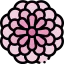 Chrysanthemum Ikona 64x64