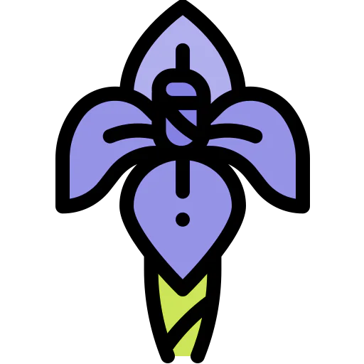 Iris icon