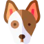 Dog icon 64x64