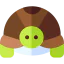 Turtle icon 64x64