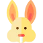 Rabbit icon 64x64