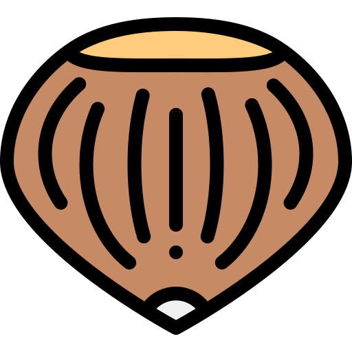 Nut icon