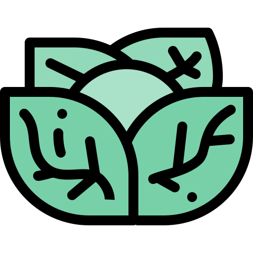 Cabbage 图标