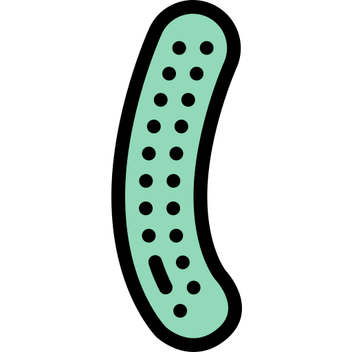 Cucumber 图标