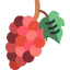 Grapes icon 64x64