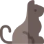 Cat 图标 64x64