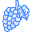 Grapes icon 64x64