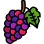 Grapes icon 64x64