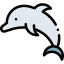 Dolphin icon 64x64