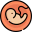 Pregnancy icon 64x64