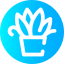 Plant 图标 64x64