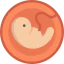 Pregnancy icon 64x64