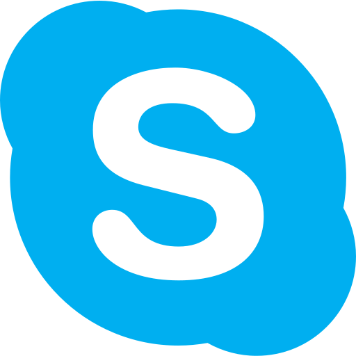 Skype icon