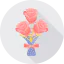 Rose icône 64x64