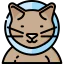Cat icon 64x64
