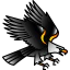 Eagle icon 64x64
