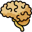 Neurology icon 64x64