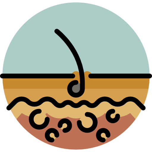 Dermathology 상