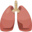 Lungs icon 64x64